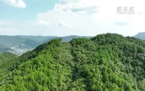 Yang Long (Yang Longquan)